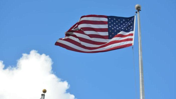 American flags on campus